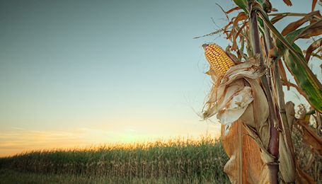 KFB offering grants to attend 2023 USDA Reports Trip 