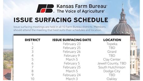 2026 Issue Surfacing Schedule
