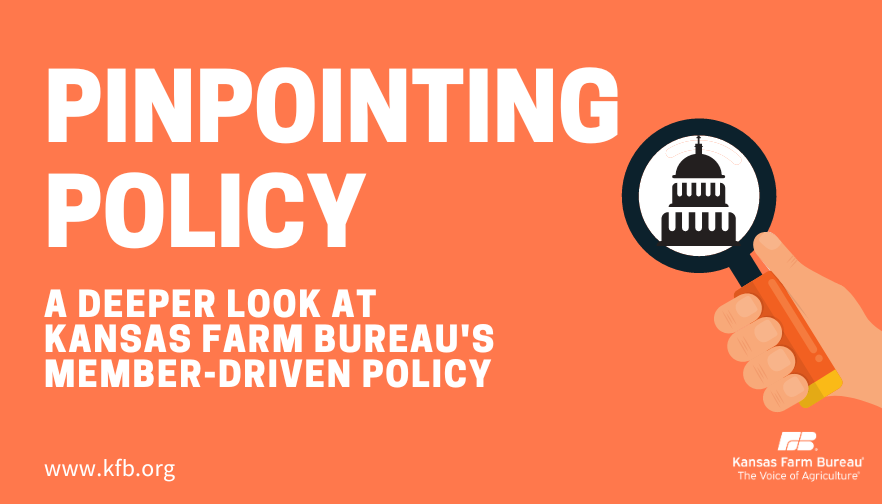 Pinpointing Policy: UAS