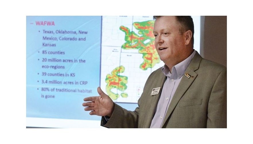 Lesser prairie chicken population on the rebound; future impact on farmers unclear