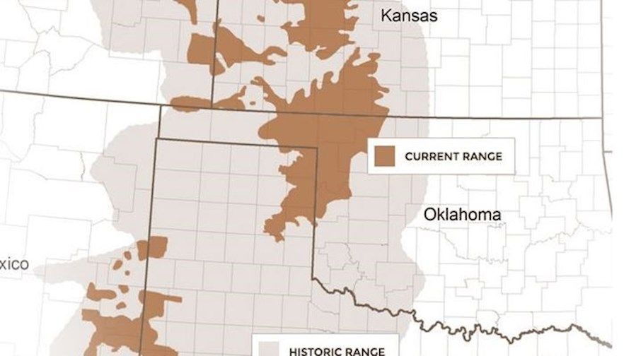 Texas decision good news on LPC, but fight continues