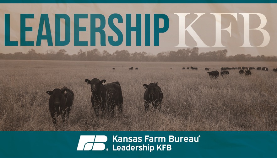 Leadership KFB Capsule 1: Collaborating on Differences to Positively Impact Communities