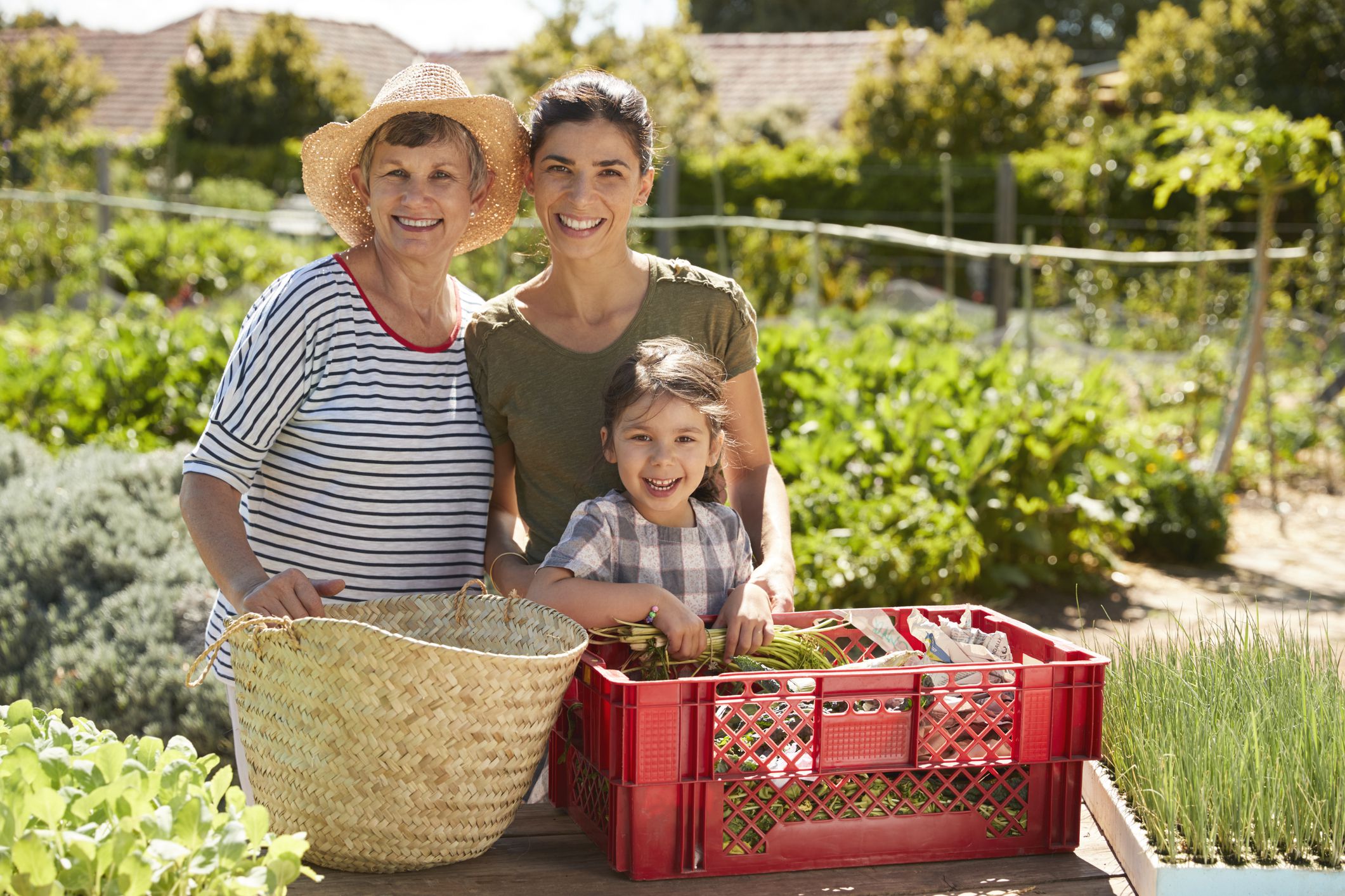 community garden